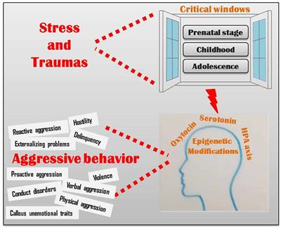 Genes and Aggressive Behavior: Epigenetic Mechanisms Underlying Individual Susceptibility to Aversive Environments